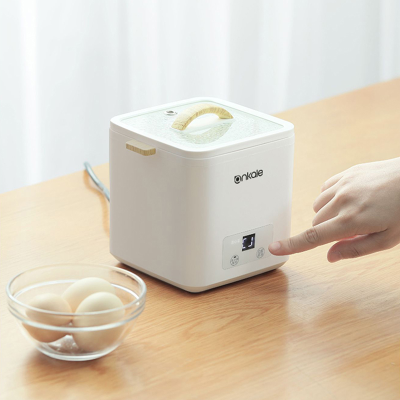 4 계란 보일러 기선 다기능 급속 전기 계란 밥솥 자동 - Egg Cooker Rapid 리뷰 및 가격
