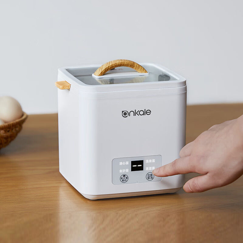 4 계란 보일러 기선 다기능 급속 전기 계란 밥솥 자동 - Egg Cooker Rapid 리뷰 및 가격