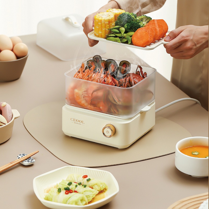 200W 계란찜기 이중층 전기 계란찜기 스티머 옥수수  - Egg Cooker Rapid 리뷰 및 가격