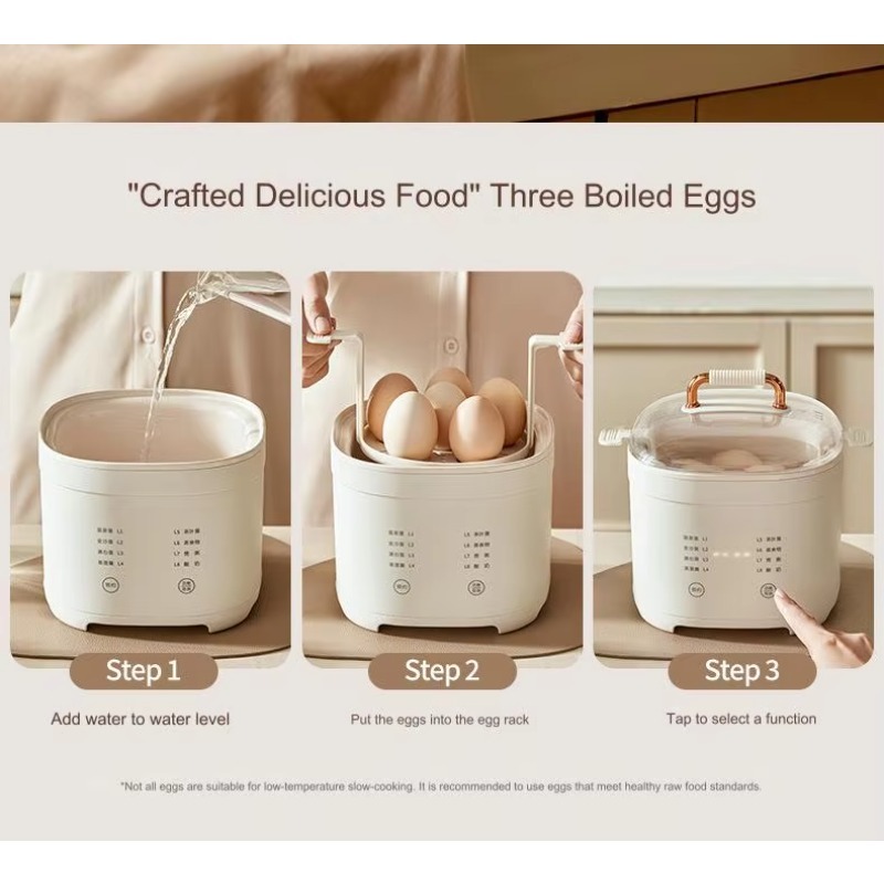 다기능 신형 주방 이중층 전기 계란찜기 홀더, 빠른 계 - Egg Cooker Rapid 리뷰 및 가격